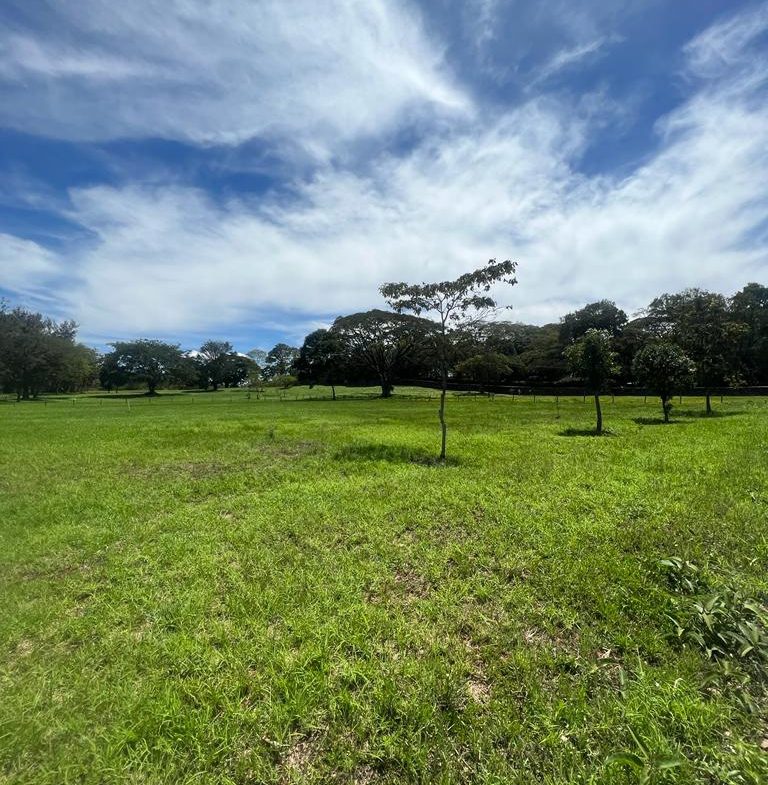 1 acre plots for Sale in Karen, Nairobi. In a gated community. Price from Ksh 73Million depending onthe view. Musilli Homes