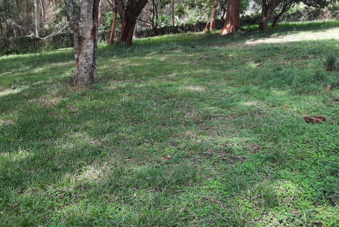 5 Acres Land For Sale near farasi lane opposite peponi schools. Each acre is 100m negotiable. Musilli Homes