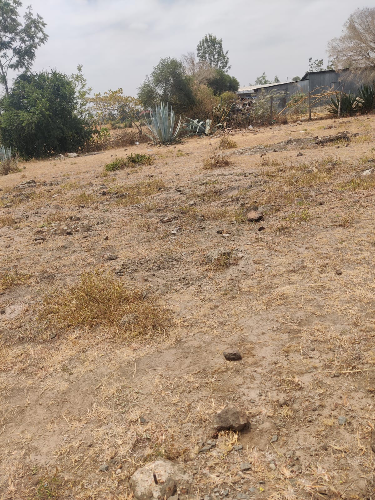 Land for sale in Ongata Rongai. 1/4 acre for sale Tuala Kedienye Oloosirkon 3.6m Musilli Homes