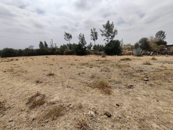 Land for sale in Ongata Rongai. 1/4 acre for sale Tuala Kedienye Oloosirkon 3.6m Musilli Homes