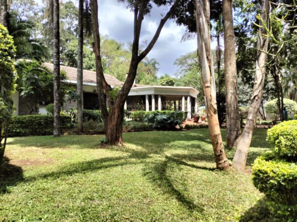 5 bedrooms House with an sq for rent in Lavington, Nairobi. 2 Carports -Backup generator -Borehole. -USD 3000. Pam Golding Hass Consult. GTC. Eighty Eighty Nairobi.