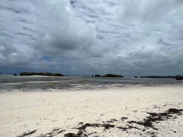 13 acre Beach front Land for sale in watamu. Next to paparemo. Ksh 13m per acre Musilli Homes