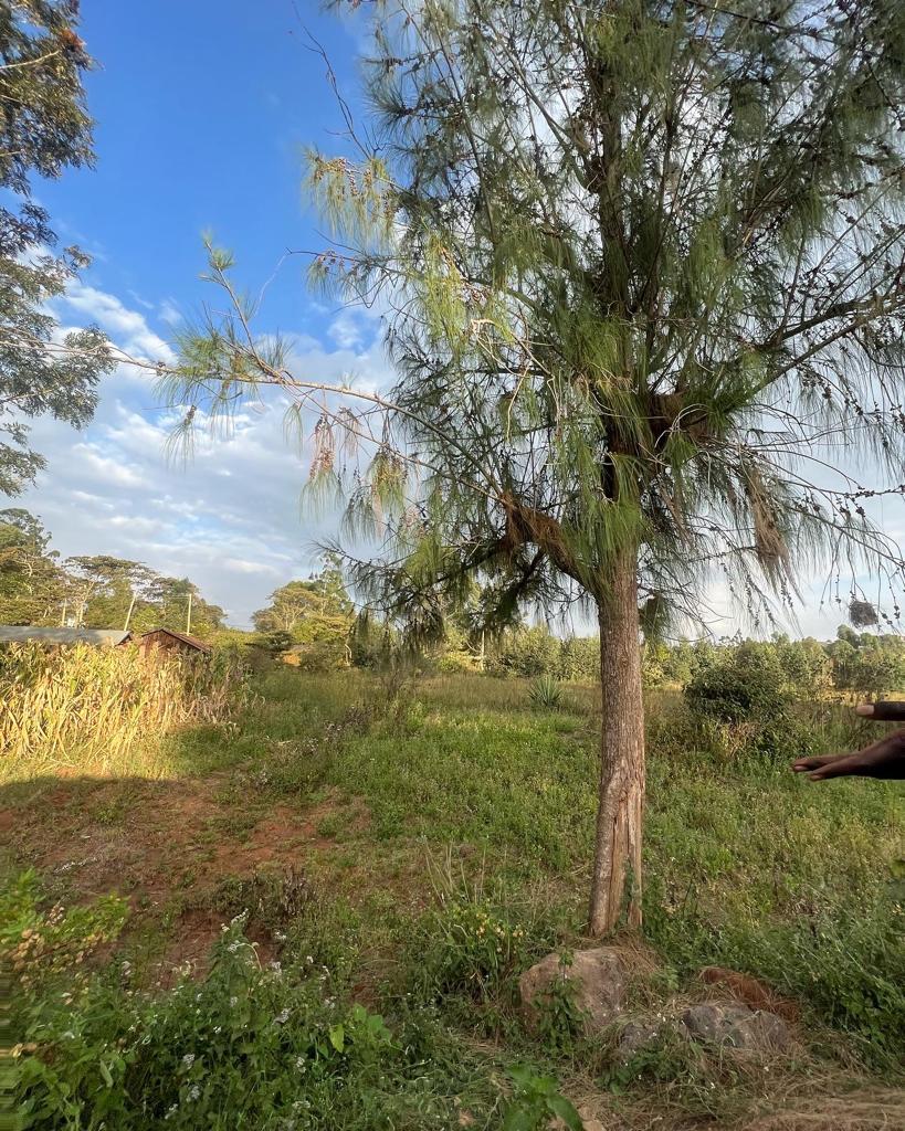 3 acre land for sale for a gated community with 4 bedroom townhouses selling from Ksh 12.7m the cheapest ones. 20million per acre Musilli Homes Pam Golding