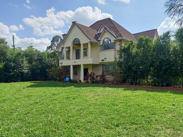 Lovely 5 bedroom house with 2 dsqs to let in hardy near Mukoma. Compound is slightly bigger than half an acre. Monthly rent: 300k negotiable Musilli Homes