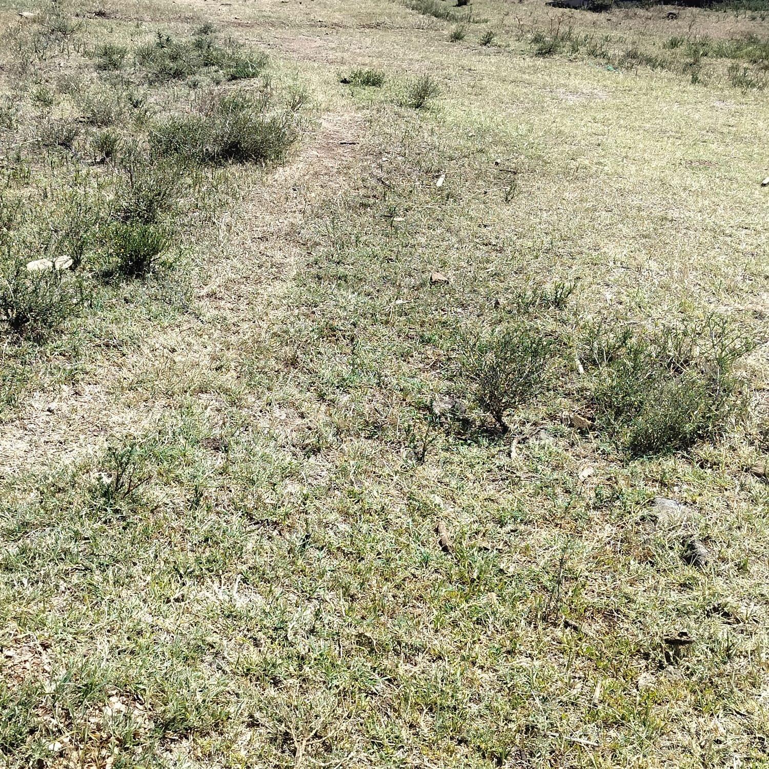 1/8 ACRE LAND FOR SALE IN KERARAPON 1/4 ACRE LAND FOR SALE IN KERARAPON 1/2 ACRE LAND FOR SALE IN KERARAPON 1 ACRE LAND FOR SALE IN KERARAPON, Karen, Ngong Musilli Homes