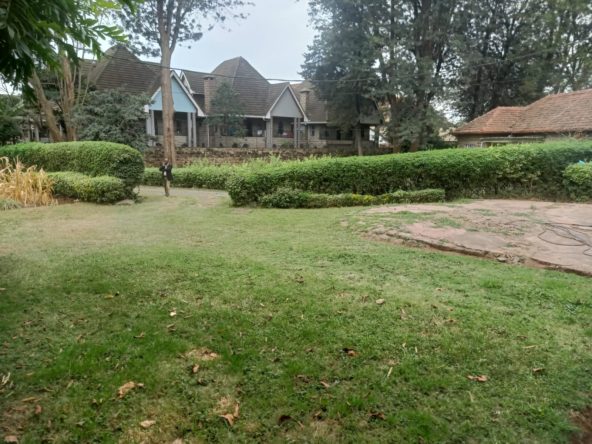 Dennis pritt 0.6 acre parcel available for sale. 180m Near st George's Musilli Homes Pam Golding