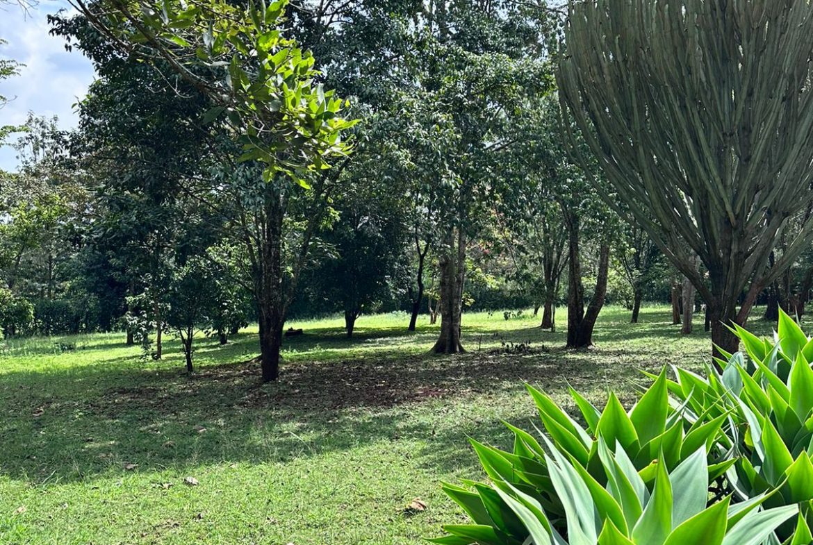 Prime 5 Acres available for sale in Karen. Price : 75 Million per Acre. Close to amenities like the Hub, southern bypass, schools, Karen Golf club. Musilli Homes Pam Golding