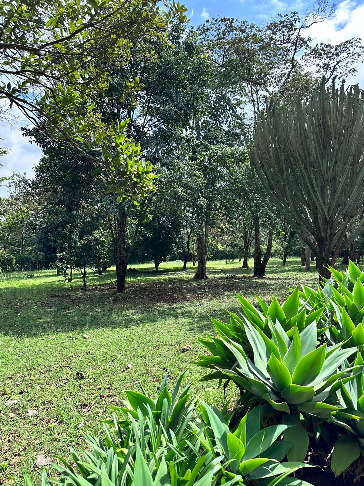 Prime 5 Acres available for sale in Karen. Price : 75 Million per Acre. Close to amenities like the Hub, southern bypass, schools, Karen Golf club. Musilli Homes Pam Golding