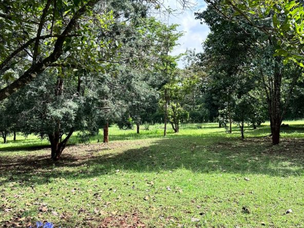Prime 5 Acres available for sale in Karen. Price : 75 Million per Acre. Close to amenities like the Hub, southern bypass, schools, Karen Golf club. Musilli Homes Pam Golding