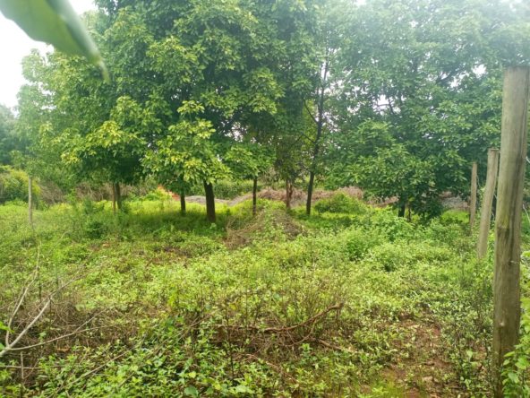 Prime 50x100 Plots in Ngong-Kibiko for Sale. deal Use: Residential. Has water and electricity. fronts tarmac..Title Deed: Ready. price: Kshs 4M Each Musilli Homes