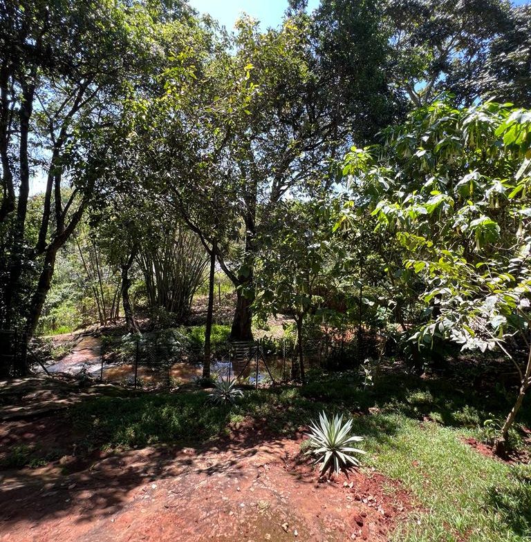 5 bedroom plus dsq house to let in Gigiri, Nairobi. In a gated community. Private big mature garden. Rent per month USD 6,500