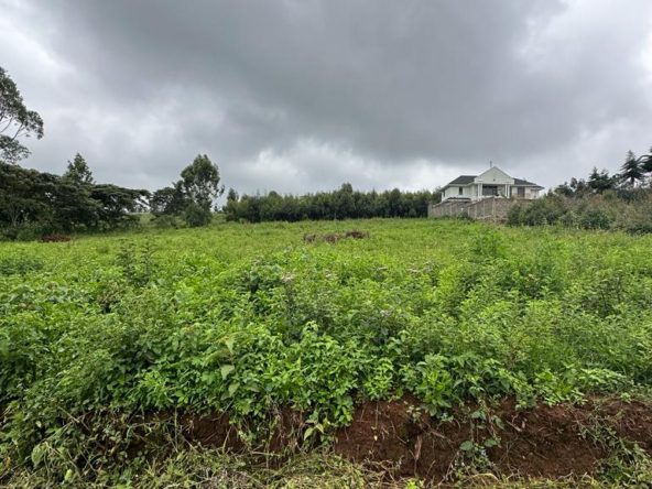 WhatsApp Image 2024 01 19 at 13.00.49