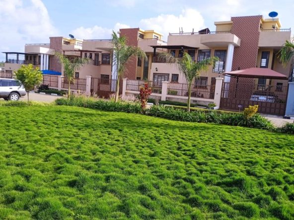 WhatsApp Image 2024 01 19 at 21.02.59