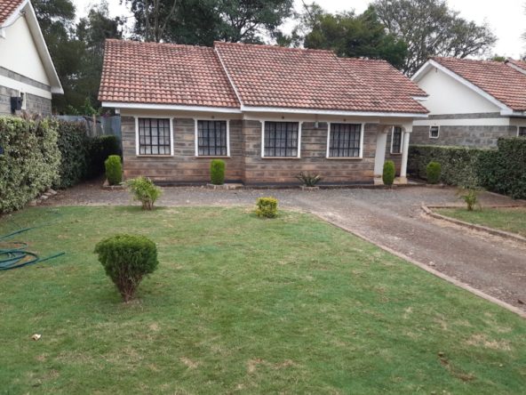 WhatsApp Image 2024 01 19 at 21.03.13