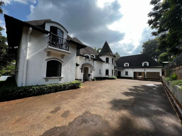 WhatsApp Image 2024 02 01 at 14.19.54