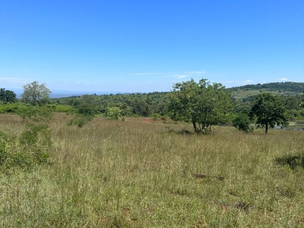 WhatsApp Image 2024 02 15 at 10.47.55