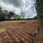 Serene Land For Sale in Kitisuru . Land Size :1/2 Acre, Located in Kitisuru, off Kirawa Road Behind ISK,Ready title deed. Asking Price. 50 M. Musilli Homes.