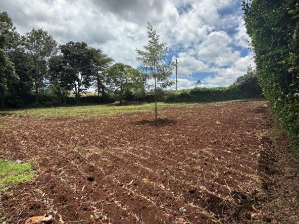 Serene Land For Sale in Kitisuru . Land Size :1/2 Acre, Located in Kitisuru, off Kirawa Road Behind ISK,Ready title deed. Asking Price. 50 M. Musilli Homes.