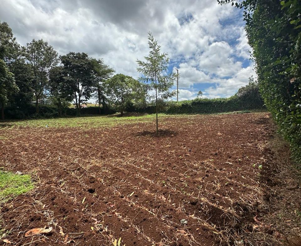 Serene Land For Sale in Kitisuru . Land Size :1/2 Acre, Located in Kitisuru, off Kirawa Road Behind ISK,Ready title deed. Asking Price. 50 M. Musilli Homes.
