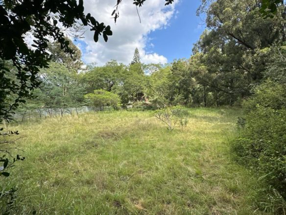 Spacious Land For Sale in Karen. Size: One acre, deal Use: Perfect for residential development. Asking Price: 82.5 M. Musilli Homes.