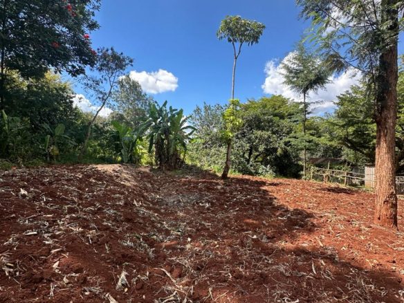 Rich Land For Sale in Rhino Park Karen. 📍 RHINO PARK, KAREN. Half acre Community: Situated in a gated community Price: Selling at Ksh 35 M. Musilli Homes.