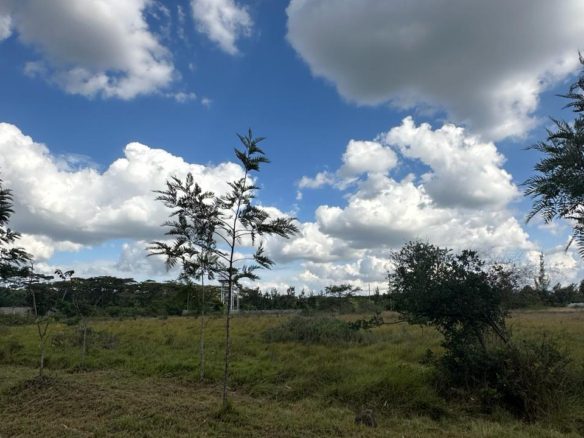 Rich Land For Sale in Mikinduri. Property Type: Location: Karen, Mikinduri - Bomas Size: Half acre. Asking Price: 40 M. Musilli Homes.