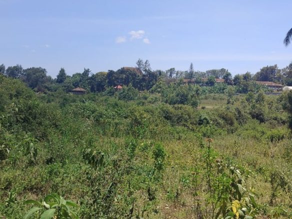 Rich 1/2 an Acre Land For Sale in Karen Plains. Size: Half acre Price: Ksh. 30M (slightly negotiable). Musilli Homes.