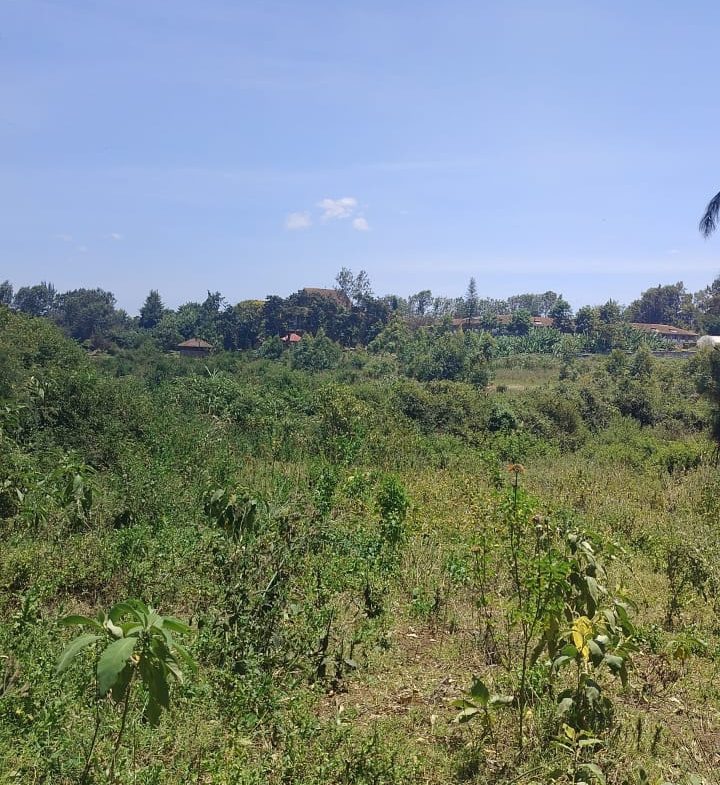 Rich 1/2 an Acre Land For Sale in Karen Plains. Size: Half acre Price: Ksh. 30M (slightly negotiable). Musilli Homes.