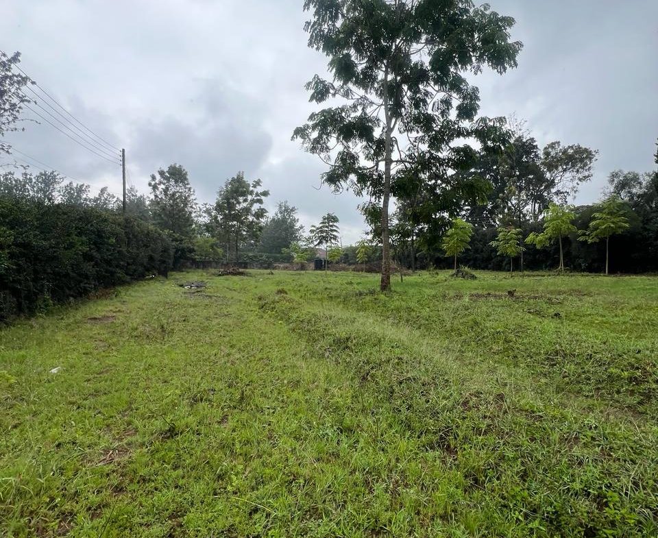 Rich 1 Acre Land For Sale in Karen. Ideal for residential development or investment opportunities. Asking Price. 90 M. Musilli Homes.