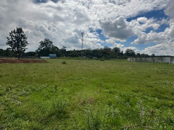 Rich 0.5 Acre Land For Sale in Karen Blixen with Ready Title Deed, Water Available, and Electricity Available. Asking Price: 35M. Musilli Homes.