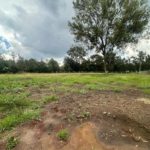 Rich 0.5 Acre Land For Sale in Karen with a ready Title deed and power and water on site. Asking Price. Ksh. 40 Million. Musilli Homes.