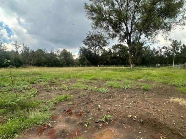 Rich 0.5 Acre Land For Sale in Karen with a ready Title deed and power and water on site. Asking Price. Ksh. 40 Million. Musilli Homes.