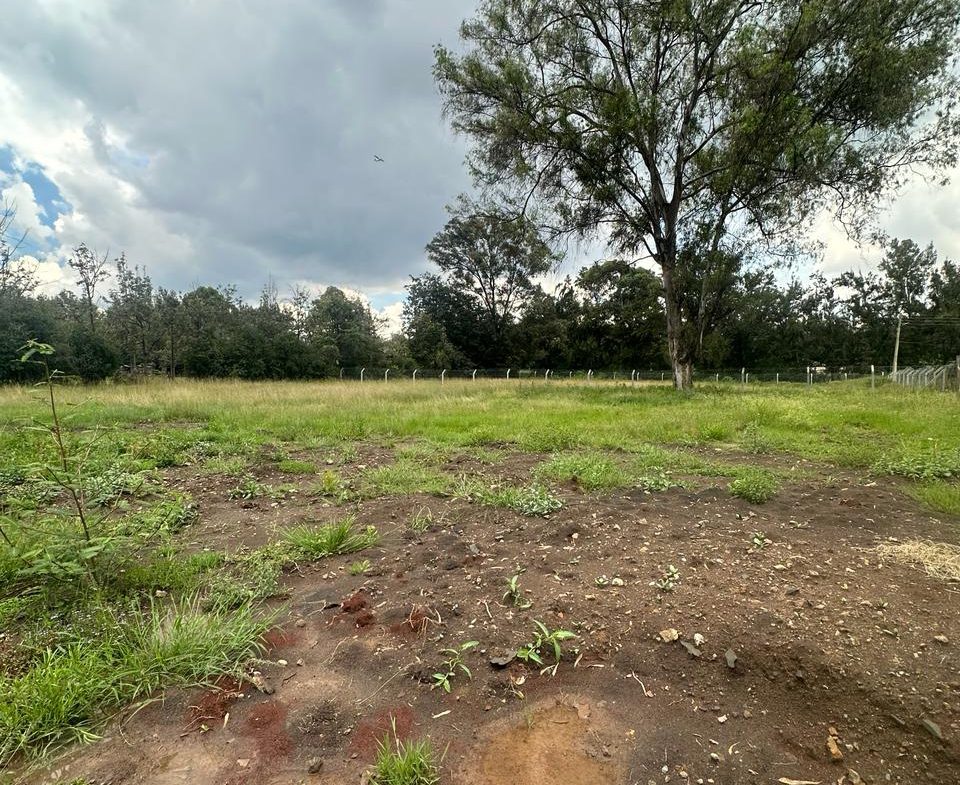 Rich 0.5 Acre Land For Sale in Karen with a ready Title deed and power and water on site. Asking Price. Ksh. 40 Million. Musilli Homes.