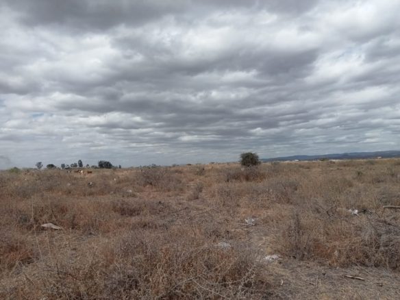 Rich 2 Acre Land For Sale in Katani with ready title deed. Asking price.12M(Negotiable). Musilli Homes.