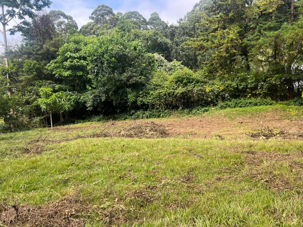 Rich 1.21 Acres Land For Sale in Runda. Potential: Ideal for building 3 homes Tenure: Freehold Price: 125 Million Kes, Musilli Homes.