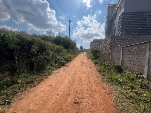 WhatsApp Image 2024 08 14 at 16.29.10 5