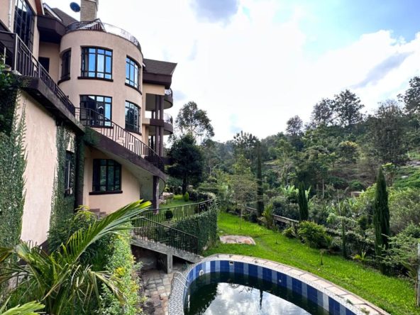 WhatsApp Image 2024 08 15 at 08.16.09 1