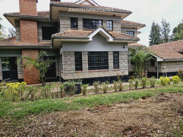 IMG 20250311 WA0047 1