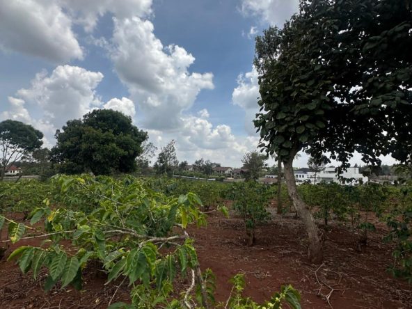 WhatsApp Image 2025 03 14 at 1.06.52 PM2