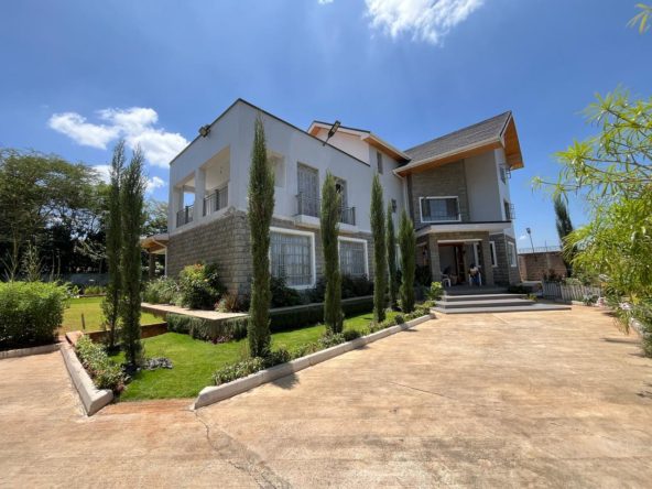 WhatsApp Image 2025 03 14 at 10.31.24 PM