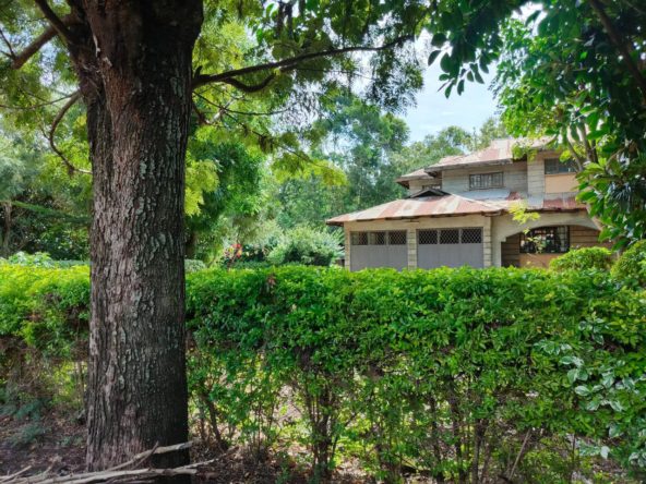 WhatsApp Image 2025 03 17 at 7.07.20 PM