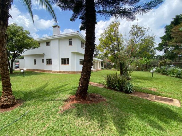 WhatsApp Image 2025 03 18 at 9.42.06 PM