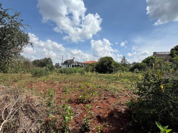 WhatsApp Image 2025 03 19 at 12.38.45 PM1