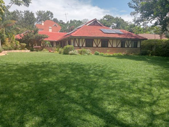 WhatsApp Image 2025 03 19 at 6.29.45 PM