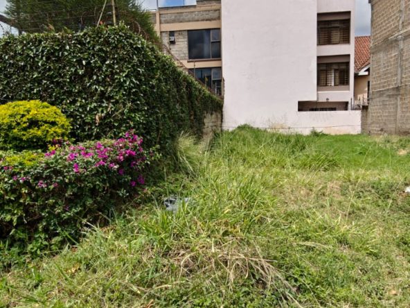 WhatsApp Image 2025 03 19 at 7.37.22 PM