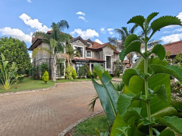 WhatsApp Image 2025 03 20 at 7.29.59 AM