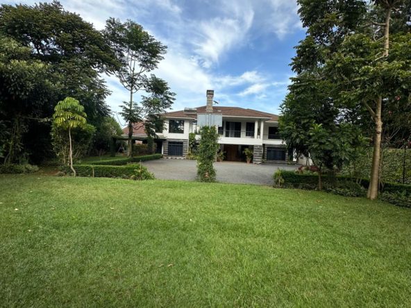 WhatsApp Image 2025 03 21 at 1.53.17 PM1