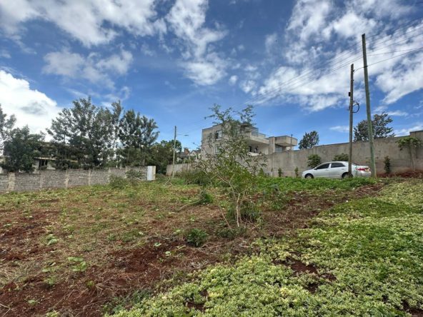 WhatsApp Image 2025 03 27 at 9.32.46 PM4