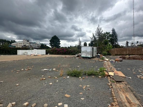 WhatsApp Image 2025 03 28 at 3.35.11 PM3