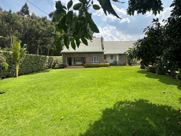 WhatsApp Image 2025 04 08 at 3.20.02 PM